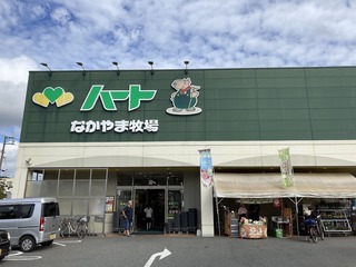 IMG_3779.jpg