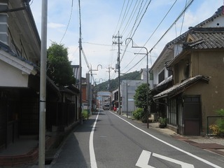 IMG_4547.jpg