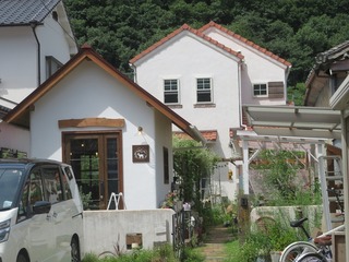 IMG_4593.jpg